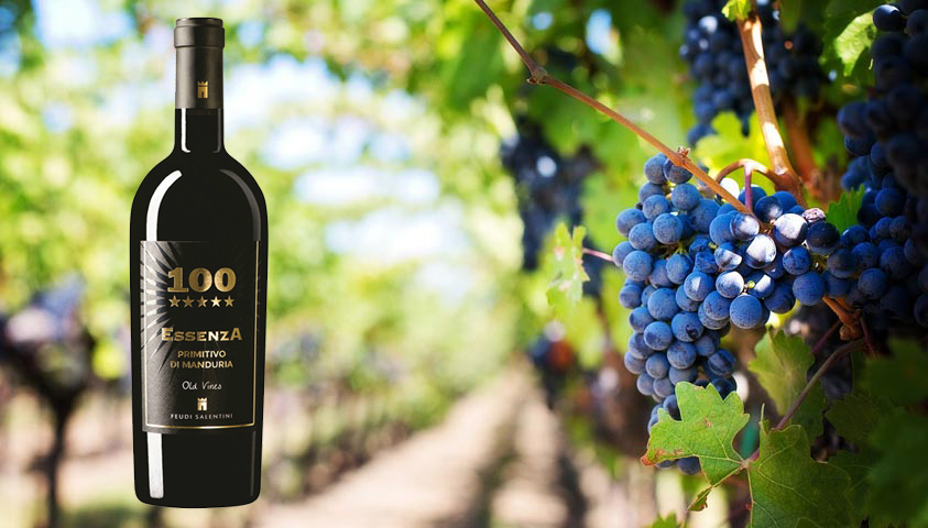 Rượu vang Ý 100 Essenza Primitivo di Manduria