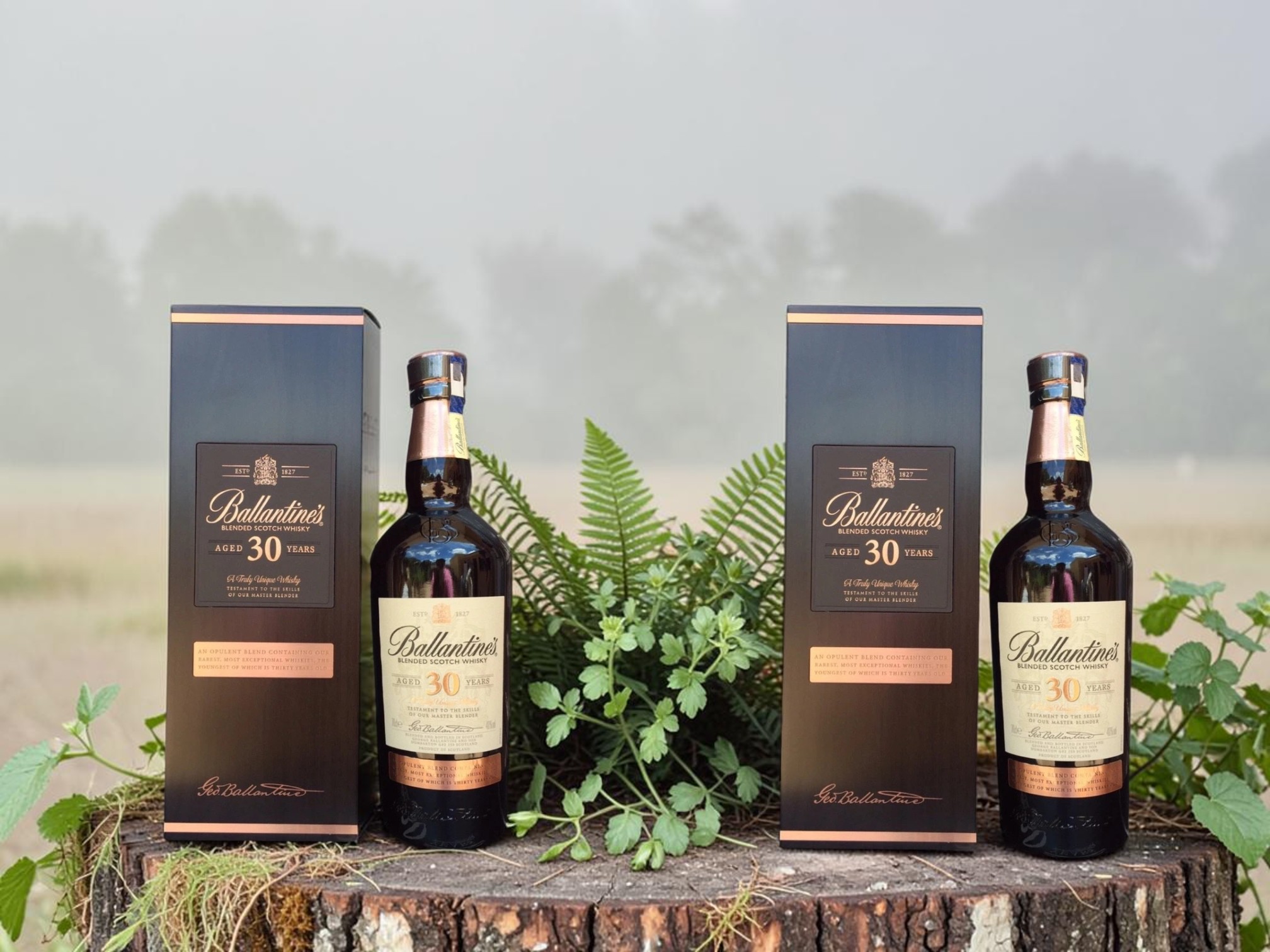 Vì sao whisky 30 năm tuổi luôn có giá cao?
