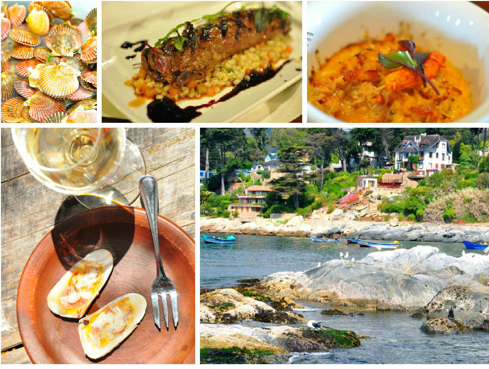 rượu vang Chile 