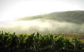 ruou-vang-ngoai-chile-thung-lung