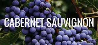 ruou-vang-y-nhap-khau-nguyen-lieu-nho-cabernet