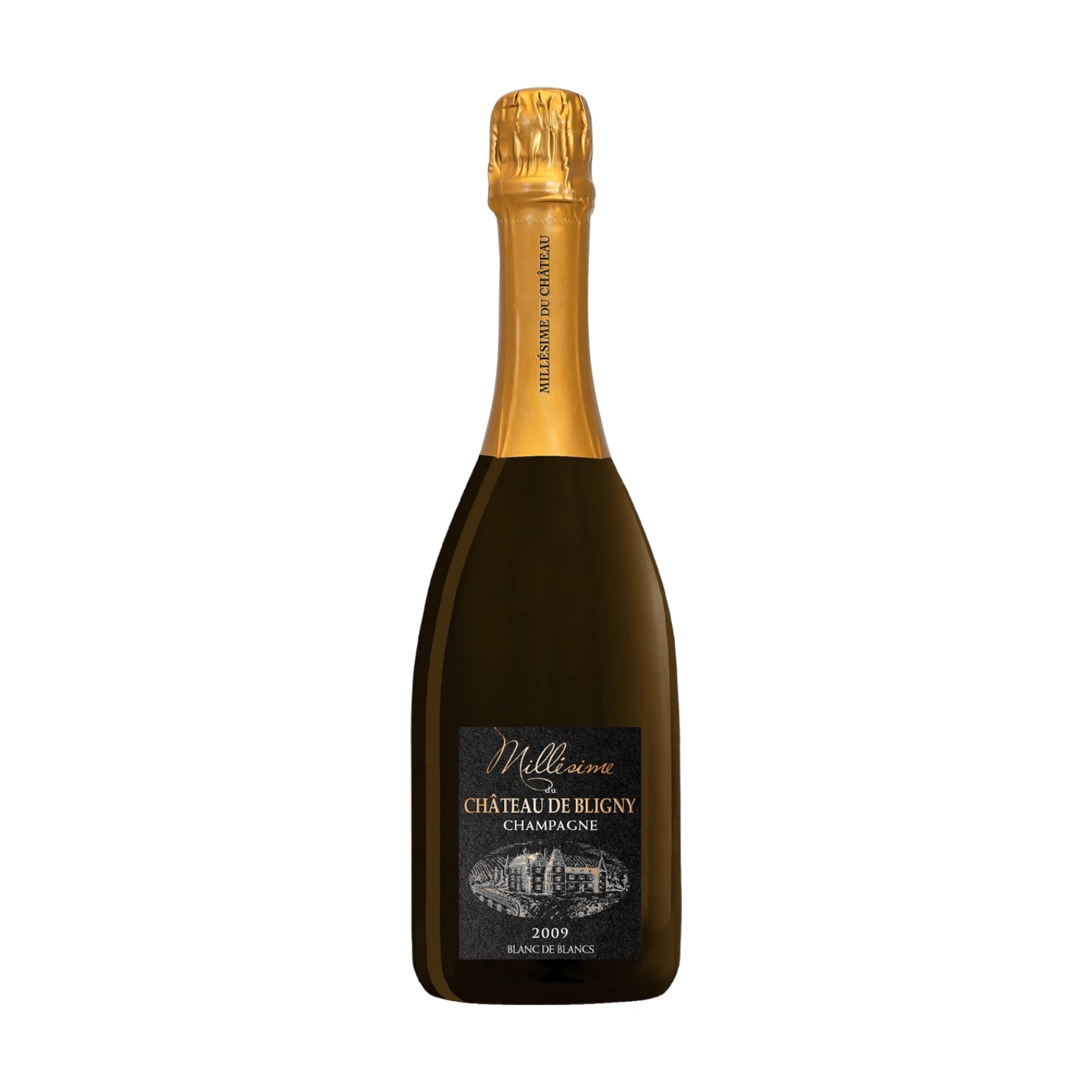 Rượu Champagne Chateau De Bligny Brut Millesime 750ml chính hãng