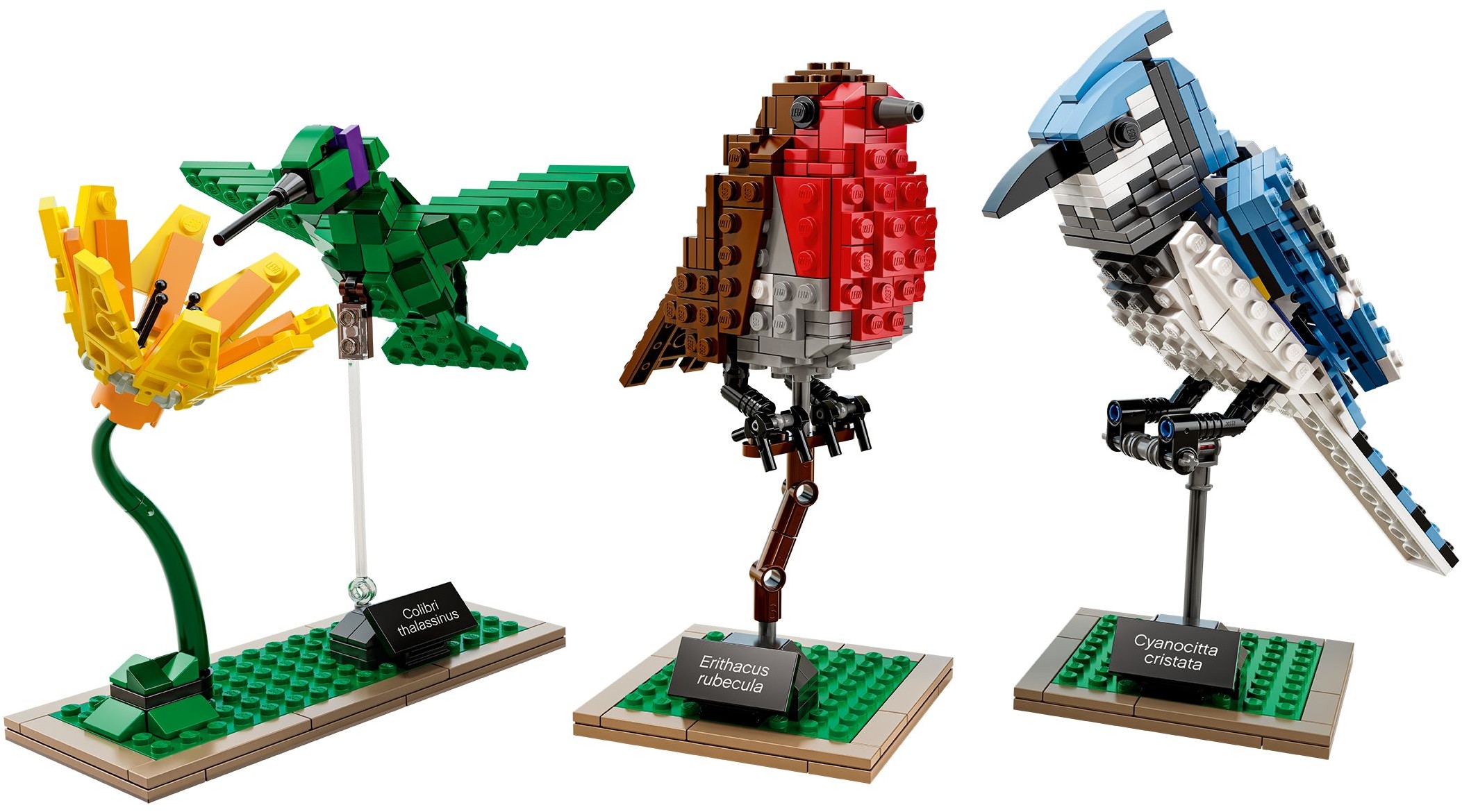 21301 LEGO® IDEAS Birds