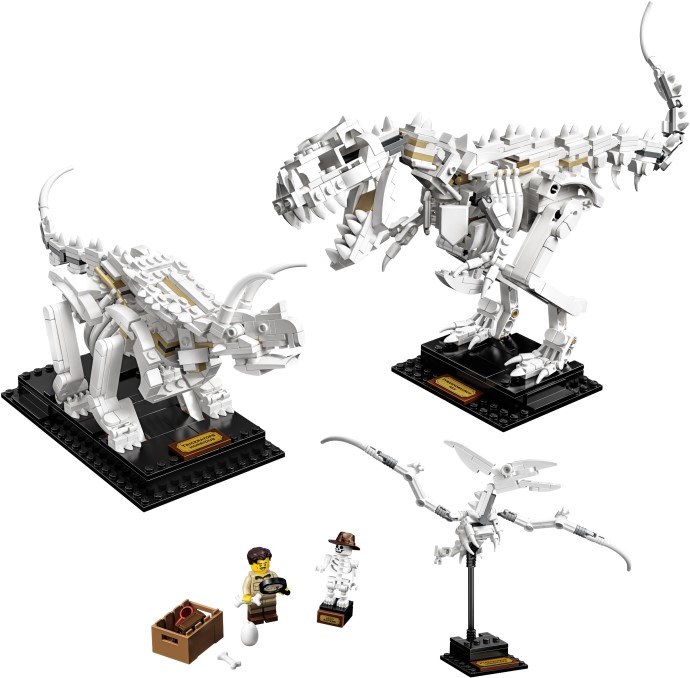 21320 LEGO Ideas Dinosaur Fossils - Hóa thạch khủng long