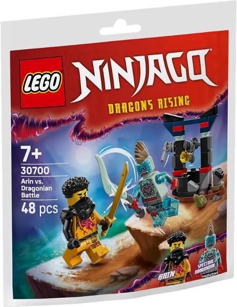 30700 LEGO NINJAGO Dragons Rising Season 3 Arin vs. Dragonian Battle paper bag -  Túi giấy nhân vật.