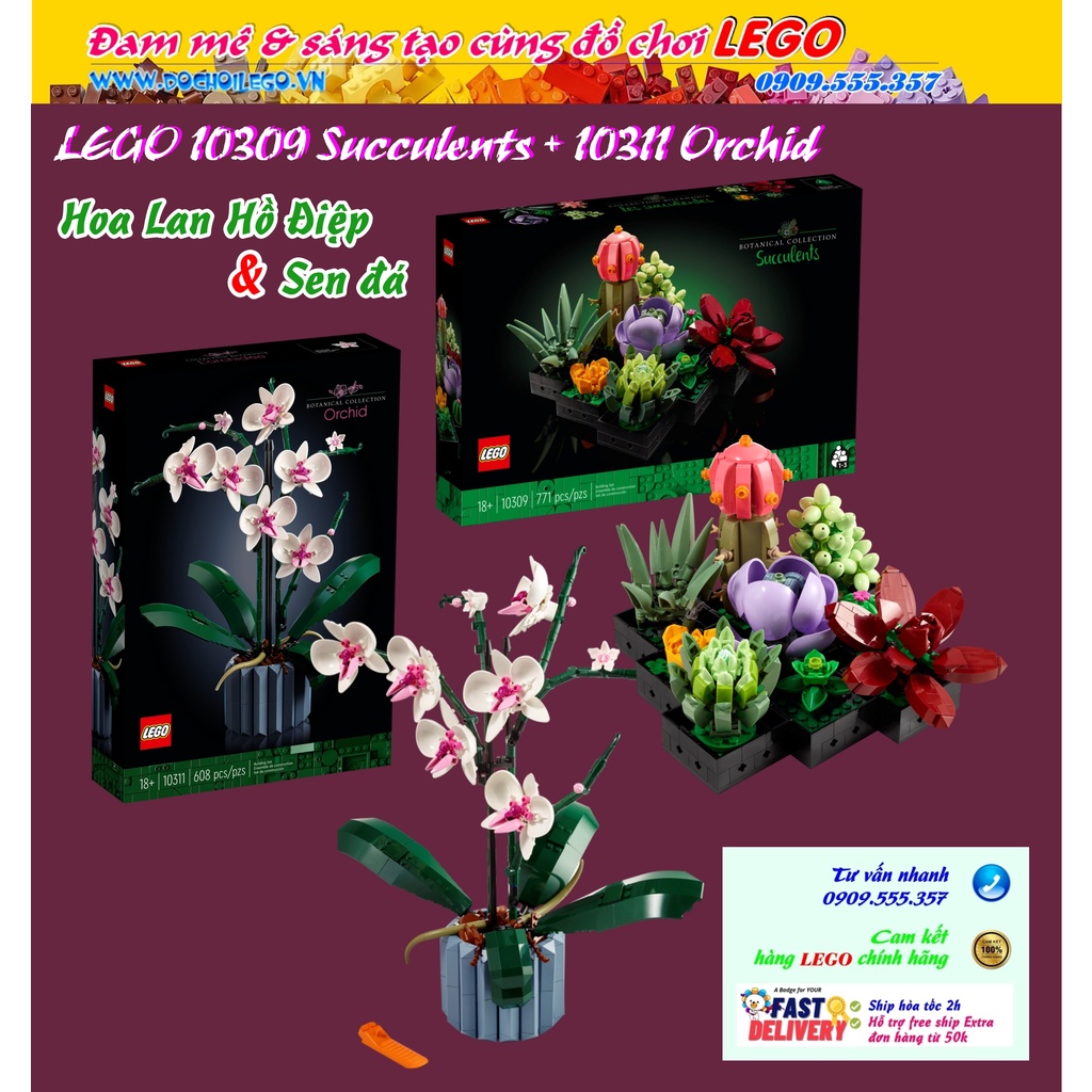 [Có sẵn] Set Hoa lan Hồ Điệp & Sen Đá - 10311 LEGO Creator Expert Botanical Collection Orchid + 10309 Succulents