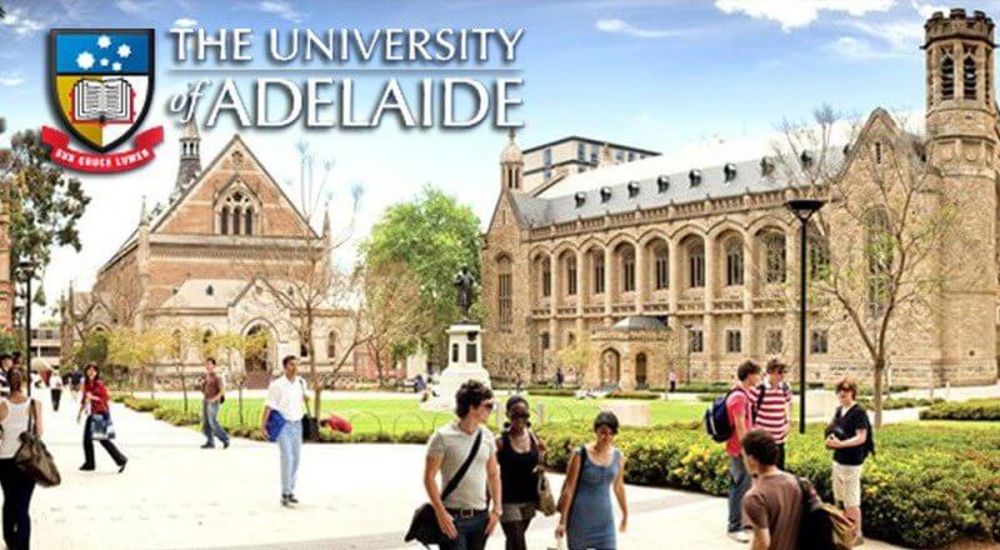 TIN MỚI TỪ ĐẠI HỌC ADELAIDE