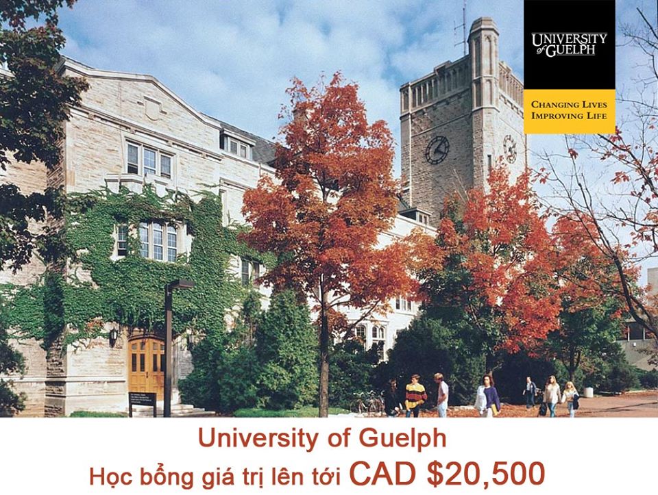 Học bổng đầu vào lên tới CAD $20,500 - University of Guelph