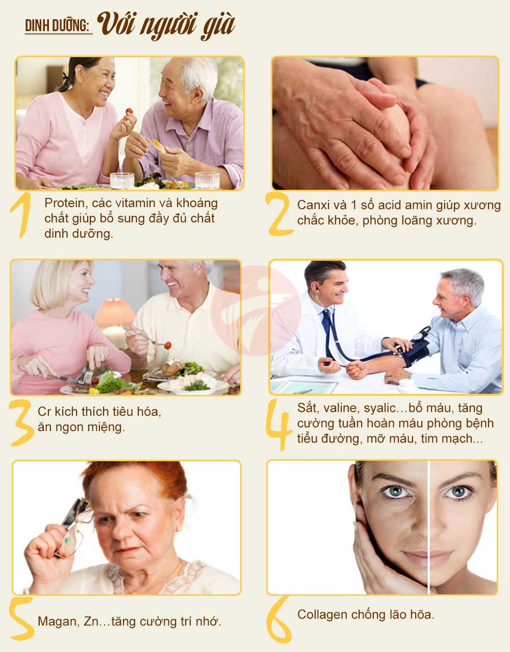 Những công dụng nổi bật của yến sào Nha Trang Khánh Hòa đối với phụ nữ và người già