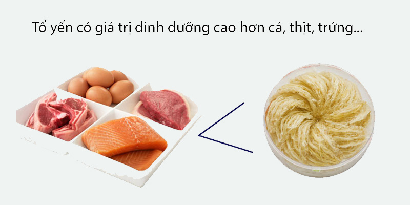 Theo bạn có nên sử dụng yến sào thường xuyên không?