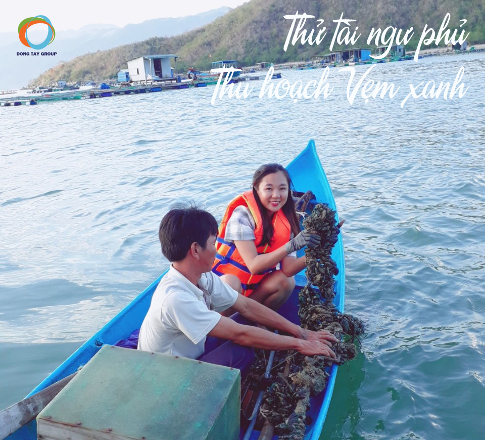 Du thuyền Đông Tây khám phá Vinh Nha Phu - trải nghiệm thu hoạch Vẹm xanh