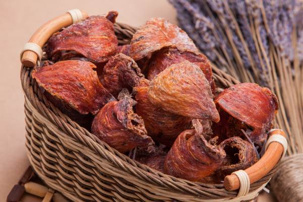 Hướng dẫn cách chọn tổ yến thô chuẩn nhất