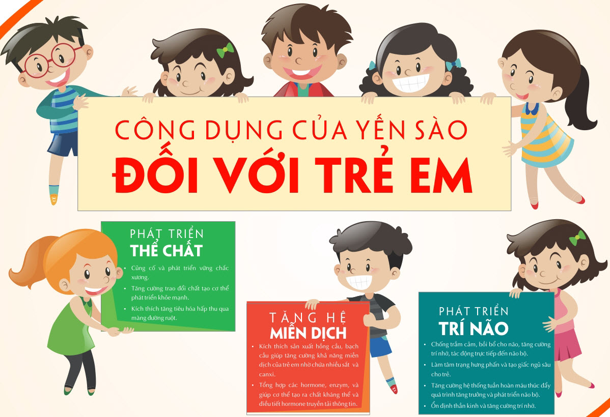 Hình ảnh Yến Sào đối với việc phát triển trí não của trẻ như thế nào?