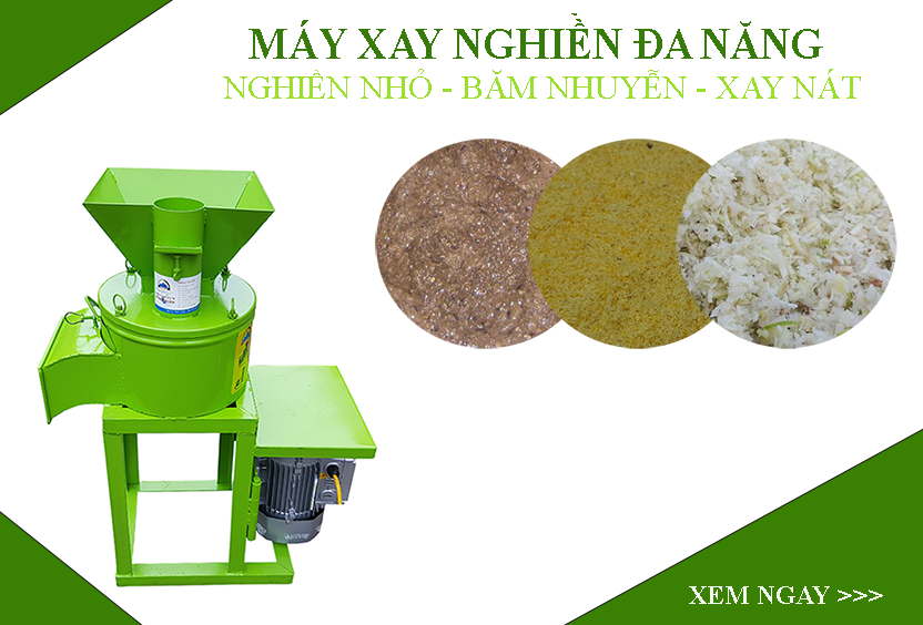 máy xay nghiền đa năng