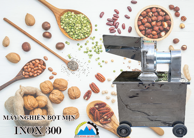 máy nghiền inox 300