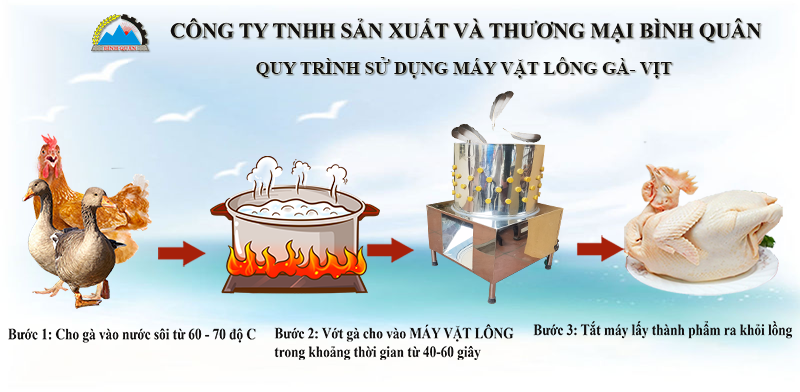 hướng dẫn vặt lông gà