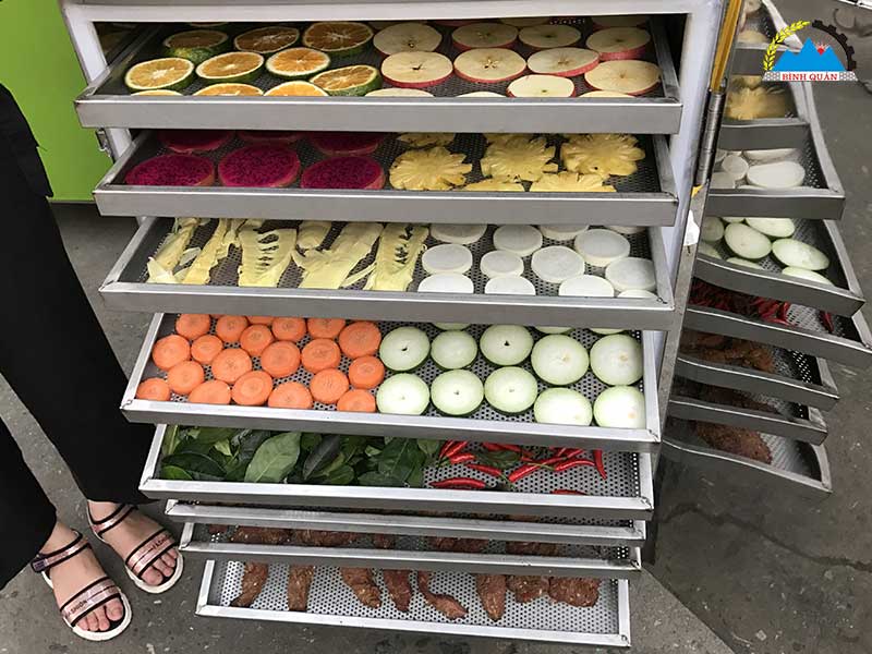 giá máy sấy hoa quả