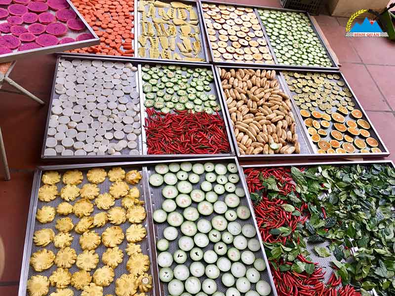 giá máy sấy hoa quả