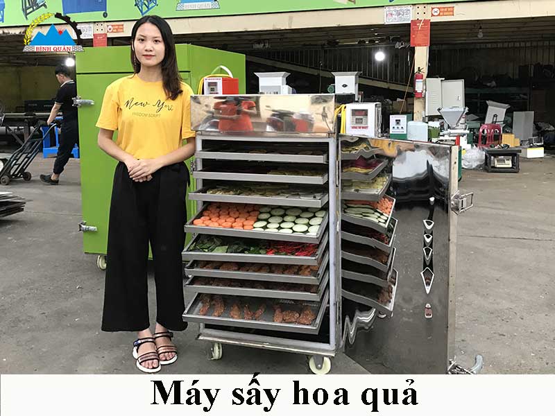 giá máy sấy hoa quả