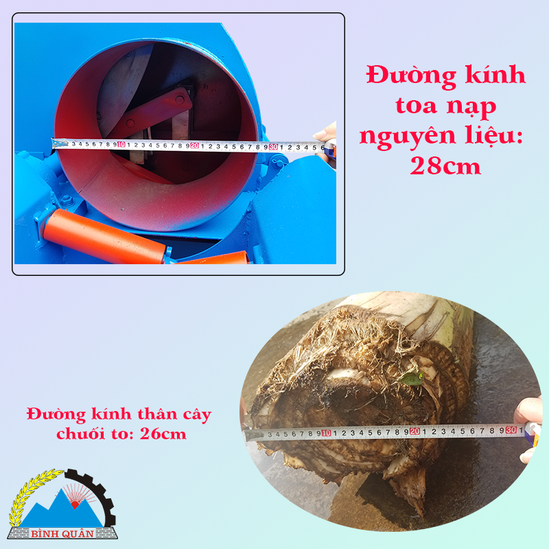 kích thước máy băm chuối công nghiệp