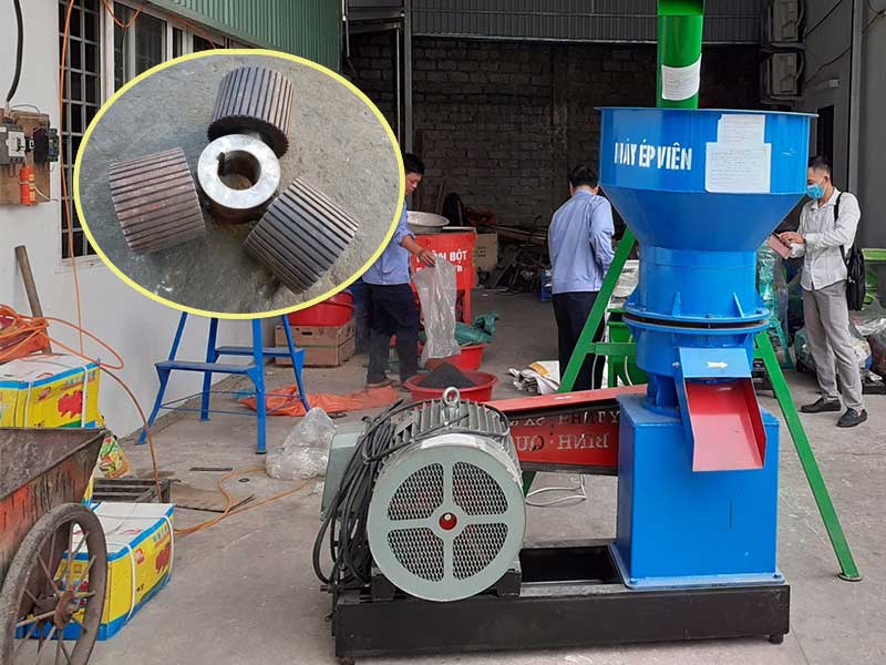 máy ép cám viên công suất lớn