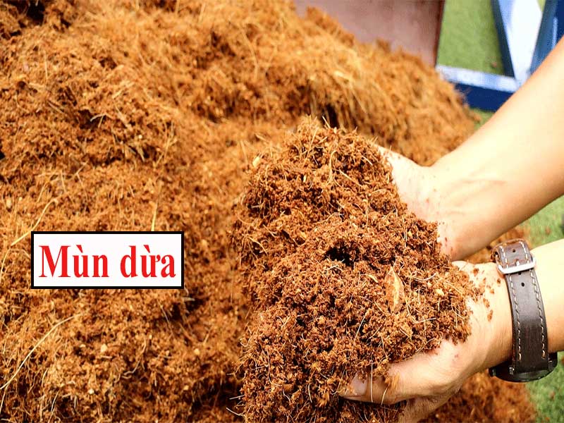 mùn dừa