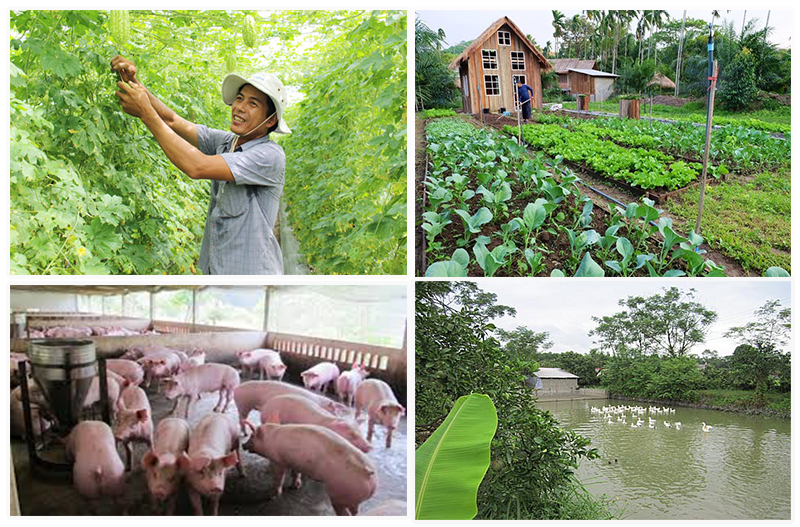 Top 66 về mô hình vacb hay nhất  Tin học Đông Hòa