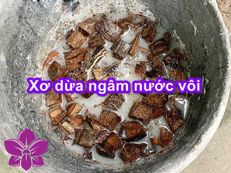 xơ dừa ngâm nước vôi loại bỏ lignin