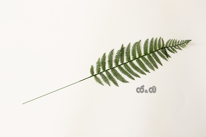 Lá tropical đẹp và chất lượng