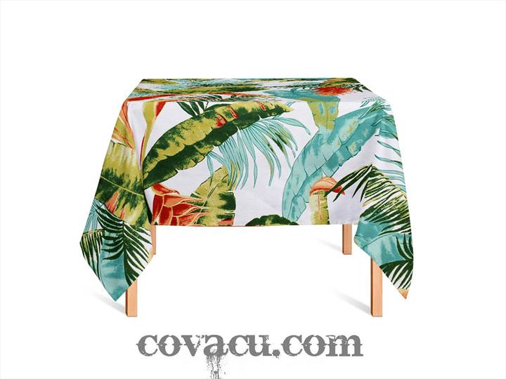 tropical lá cam