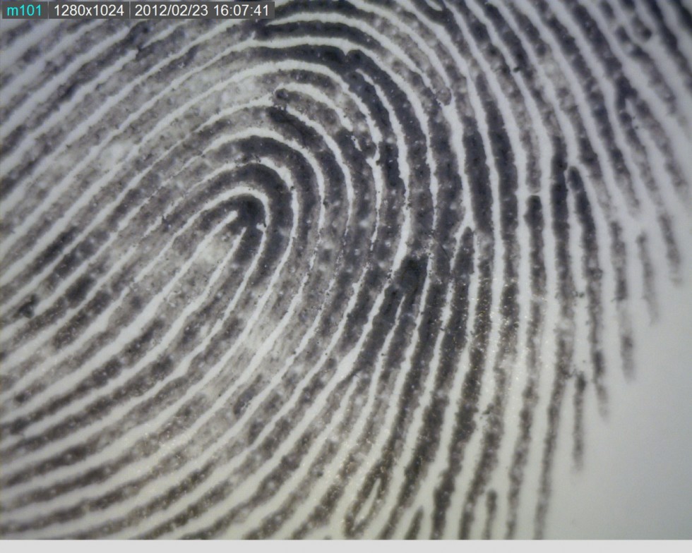 Ứng dụng kính hiển vi điện tử Dino-lite trong lĩnh vực pháp y 