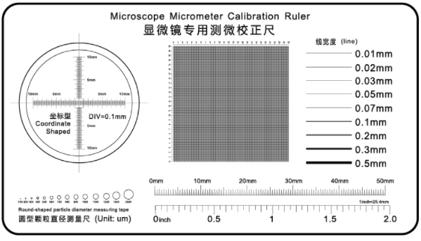 Microscope Micrometer Calibration Ruler