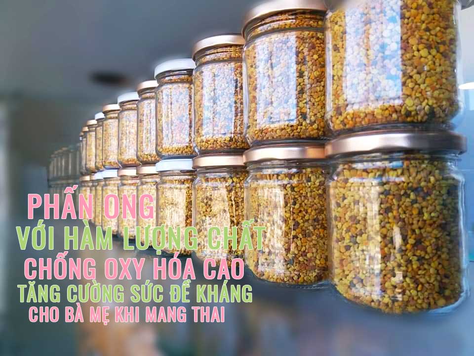 ăn phấn ong tăng sức đề kháng cho thai nhi và mẹ sau sinh