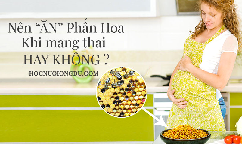 bà đẻ ăn phấn hoa được không, uống phấn ong khi mang thai