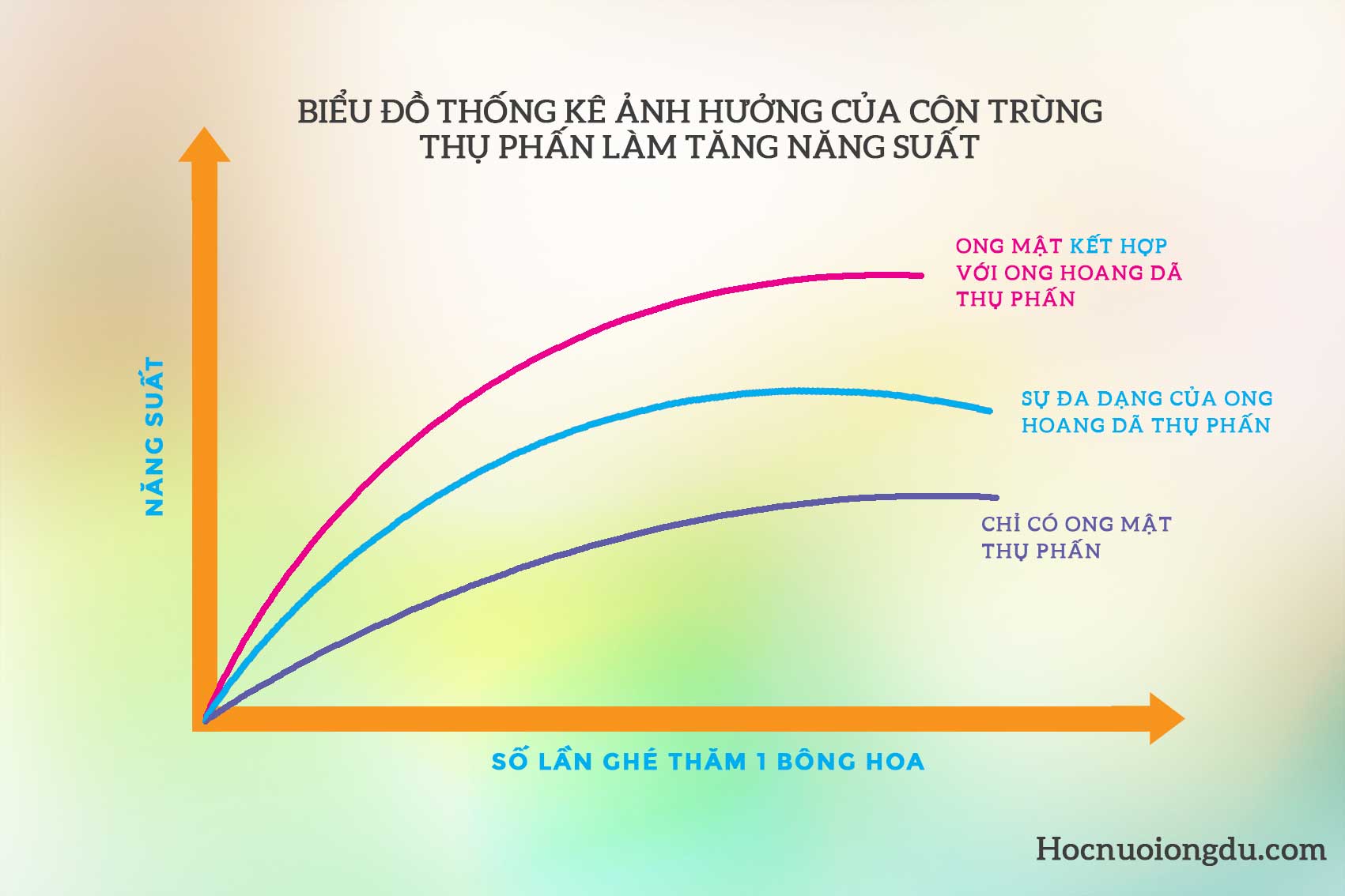 Biểu đồ hiệu quả của thụ phấn hoa bằng ong và côn trùng hoang dã