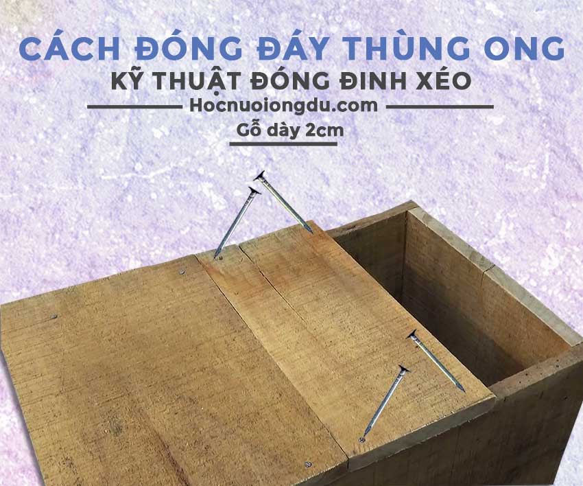 Cách đóng thùng nuôi ong mật nội địa