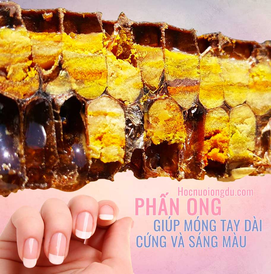 cách làm móng tay nhanh dài và đẹp tại nhà với phấn hoa