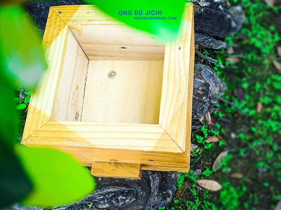 cấu tạo thùng nuôi ong rú, bên trong thùng ong