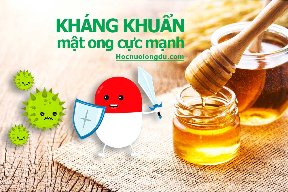 công dụng kháng khuẩn của mật ong mật