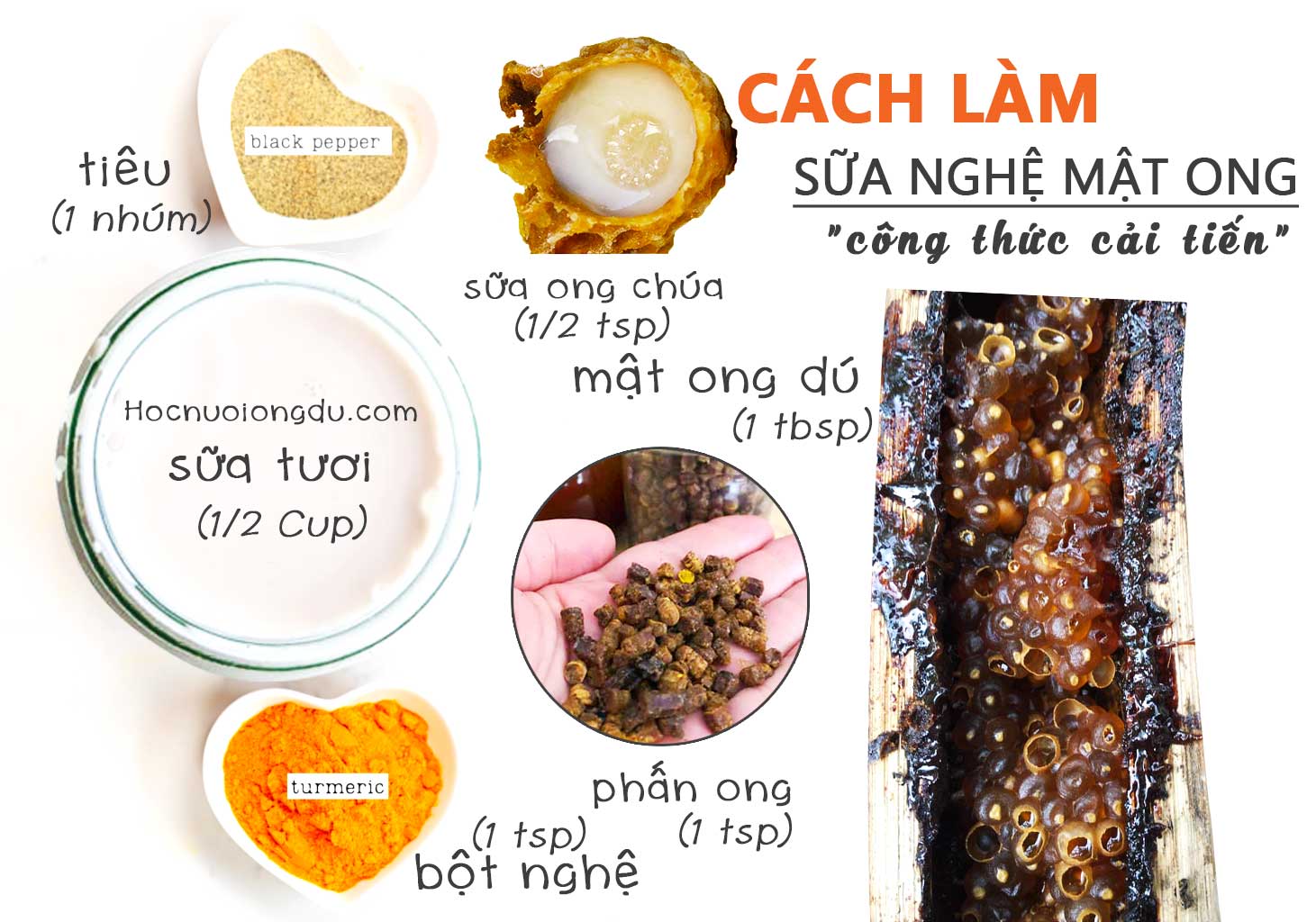 công thức nghệ với mật ong dú, sữa ong chúa và phấn ong