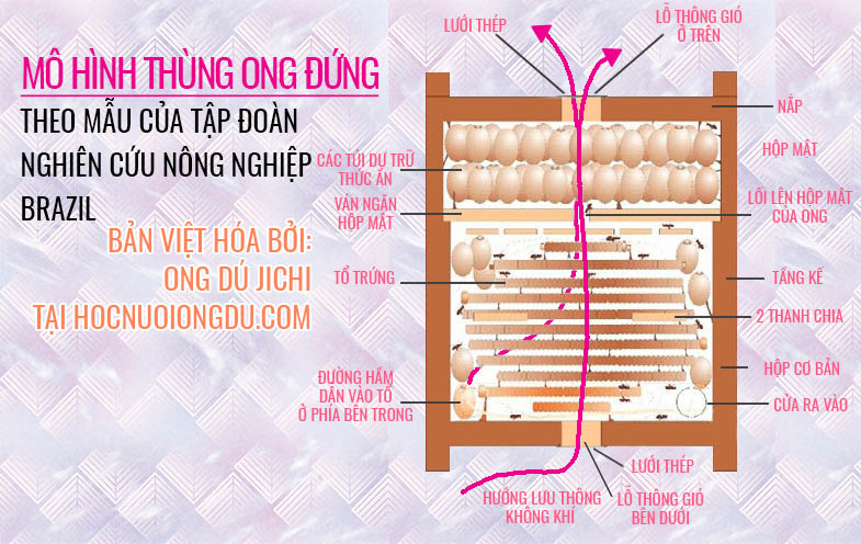 Không khí lưu thông bên trong thùng ong dú đứng ba tầng