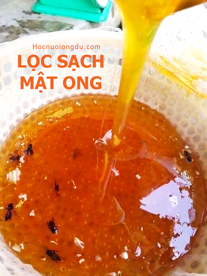 lọc mật ong thật sạch để giữ được lâu