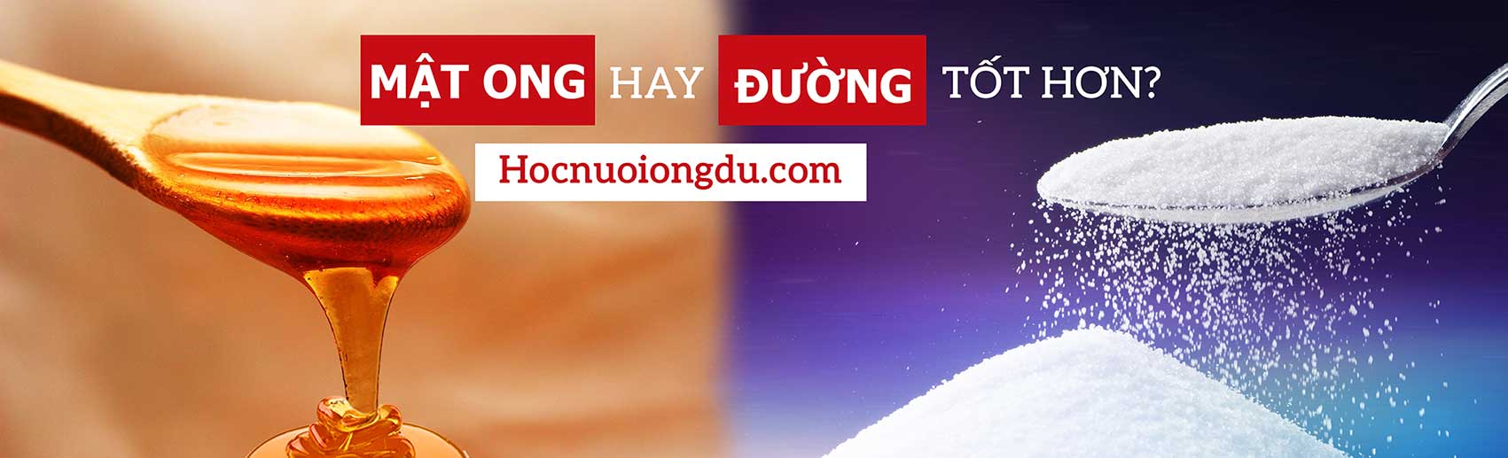 Dùng mật ong thay đường có nên không, so sánh đường ăn với mật ong