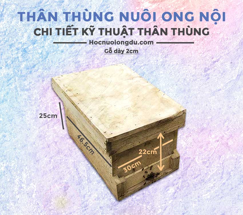 Kích thước thùng nuôi ong nội tiêu chuẩn với thùng ong tùng hóa