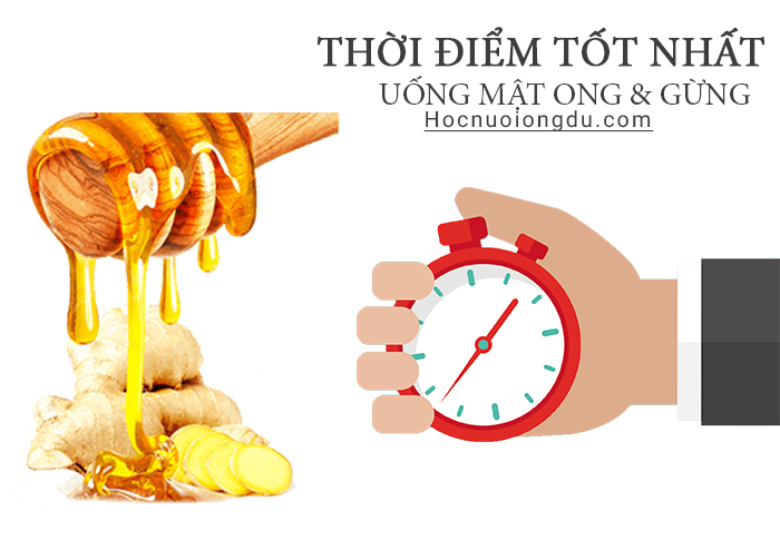 nước gừng mật ong uống khi nào là tốt nhất