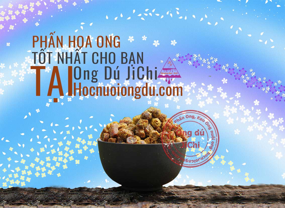 phấn hoa hãng nào tốt, thương hiệu phấn ong nổi tiếng