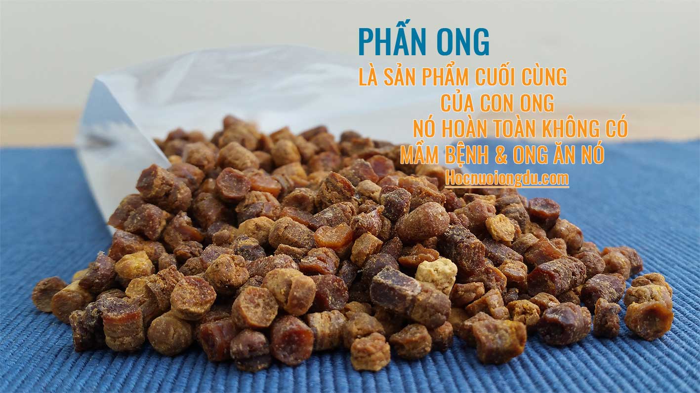 Phấn hoa lên men là sản phẩm organic cho bé và bà bầu