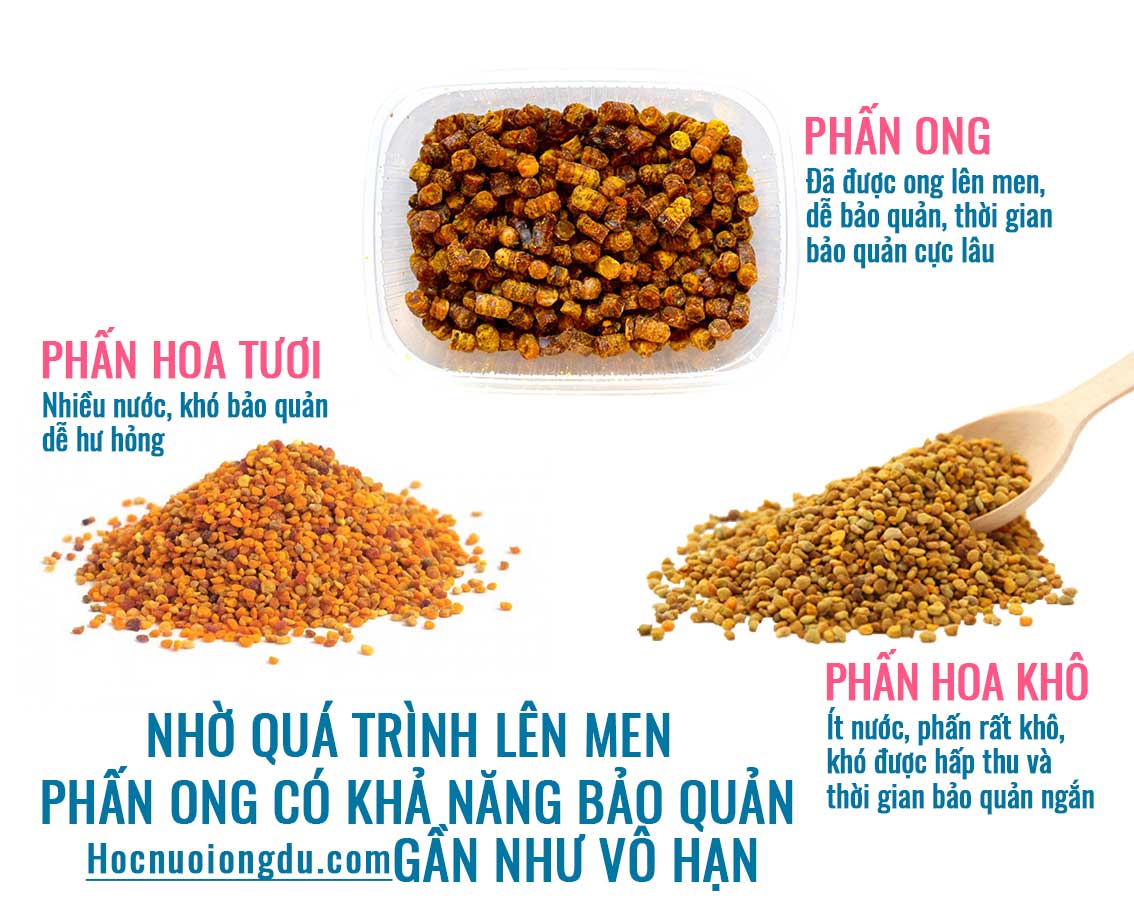 Phấn hoa loại nào tốt nhất, bảo quản phấn ong đúng cách