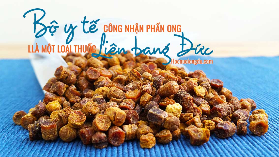 Phấn hoa chữa bệnh được bộ y tế công nhận phấn ong là thuốc