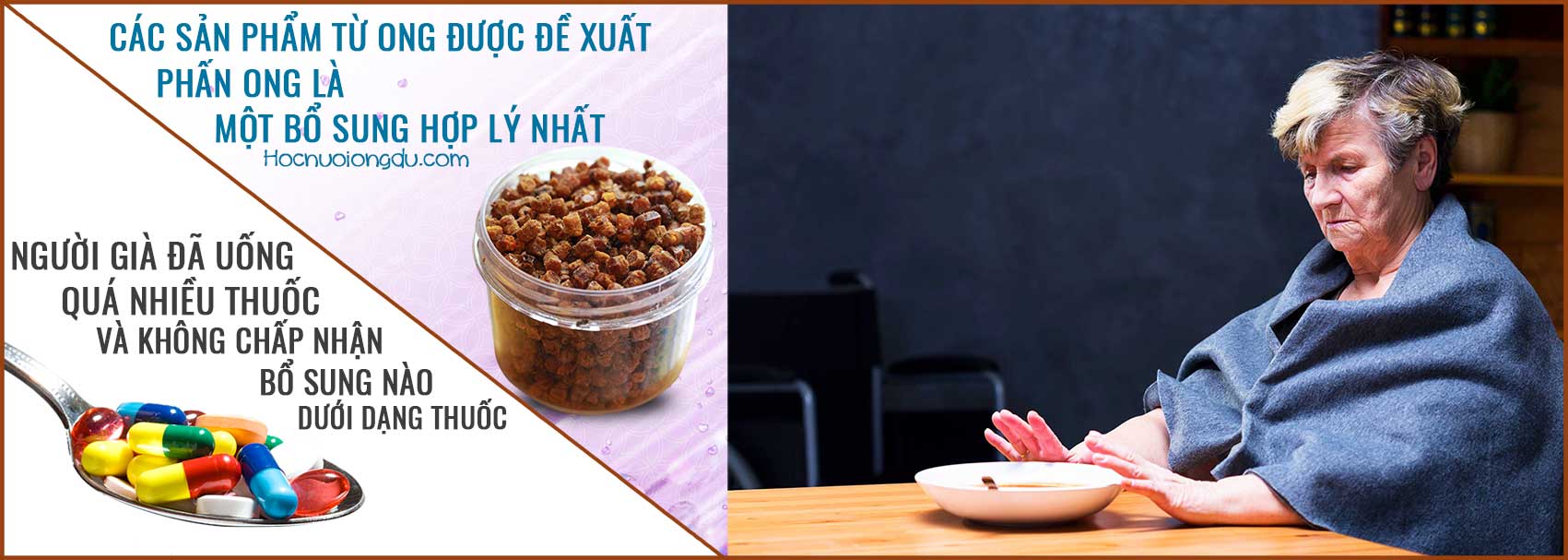 Phấn ong là thuốc bổ cho người già biếng ăn